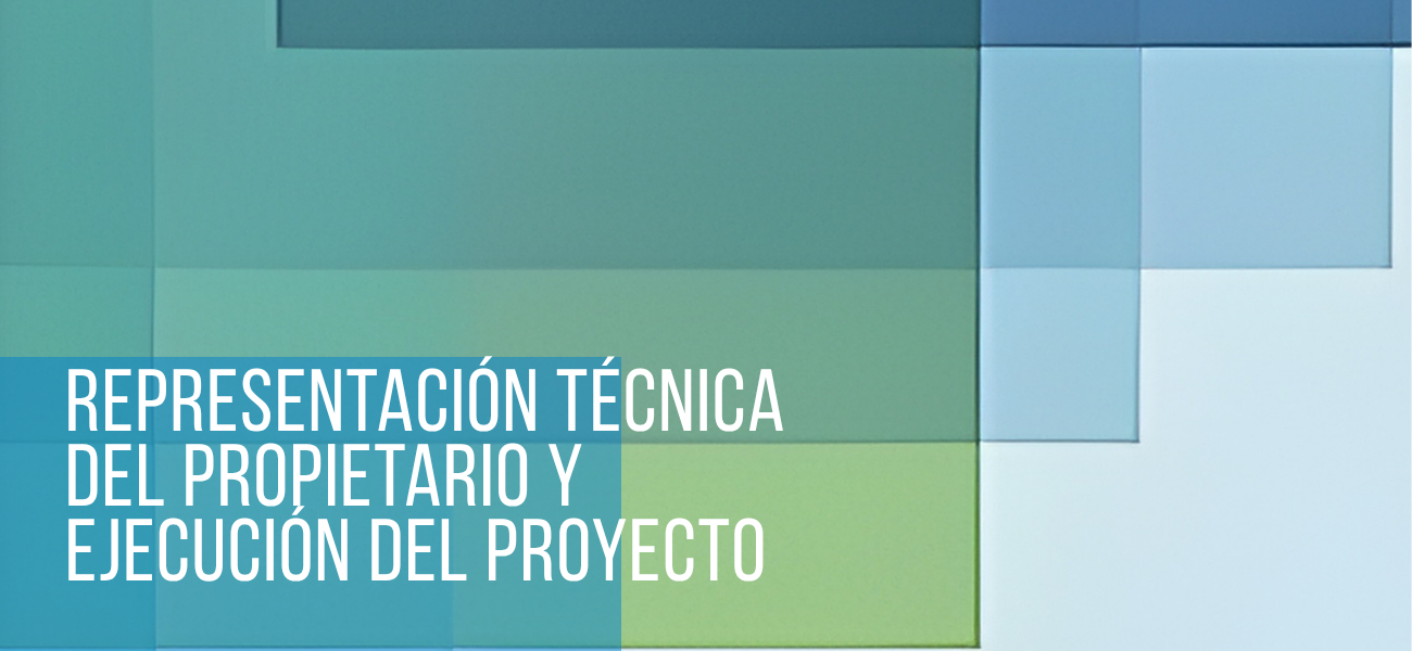 Representación Técnica del Propietario y Ejecución del Proyecto