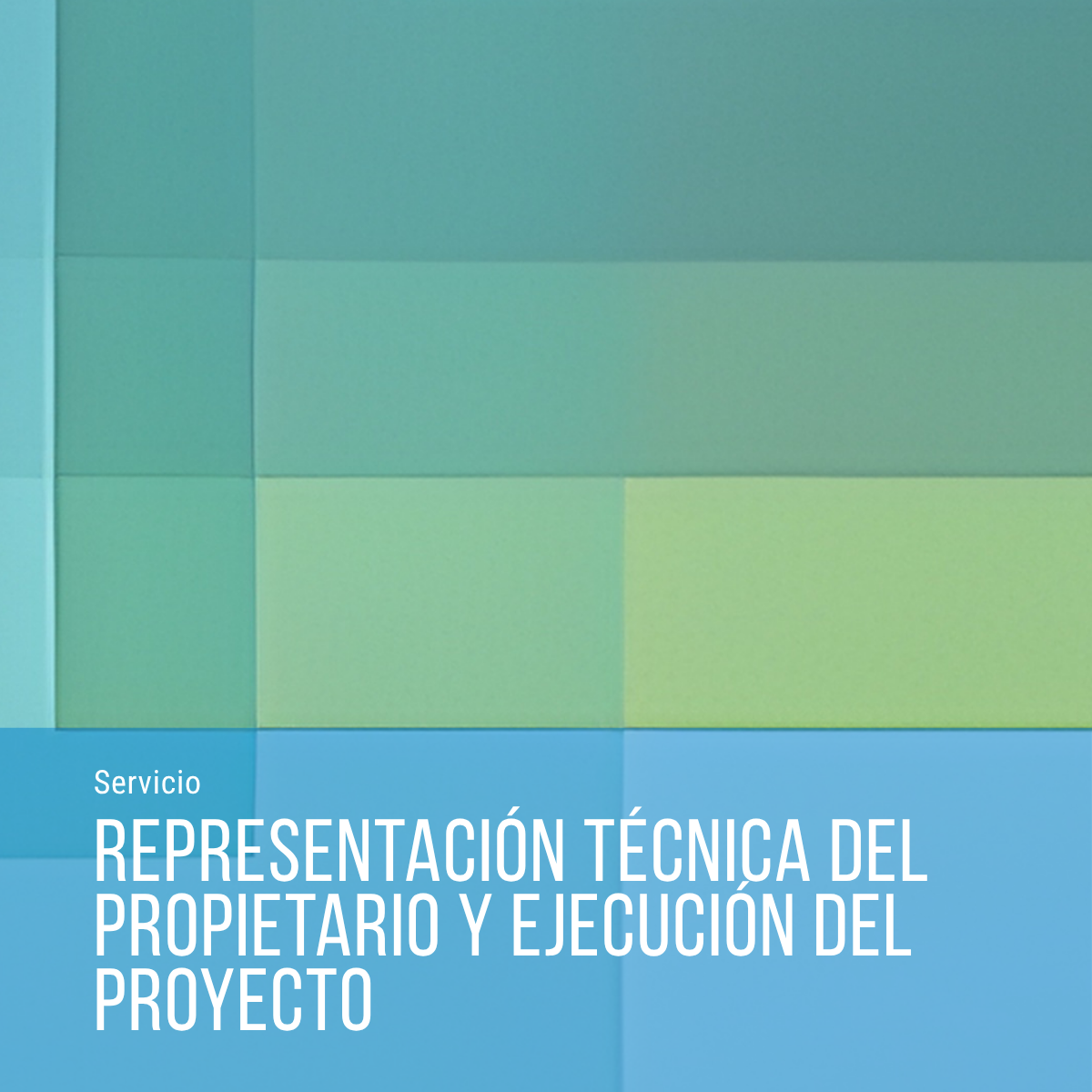 Representación Técnica del Propietario y Ejecución del Proyecto